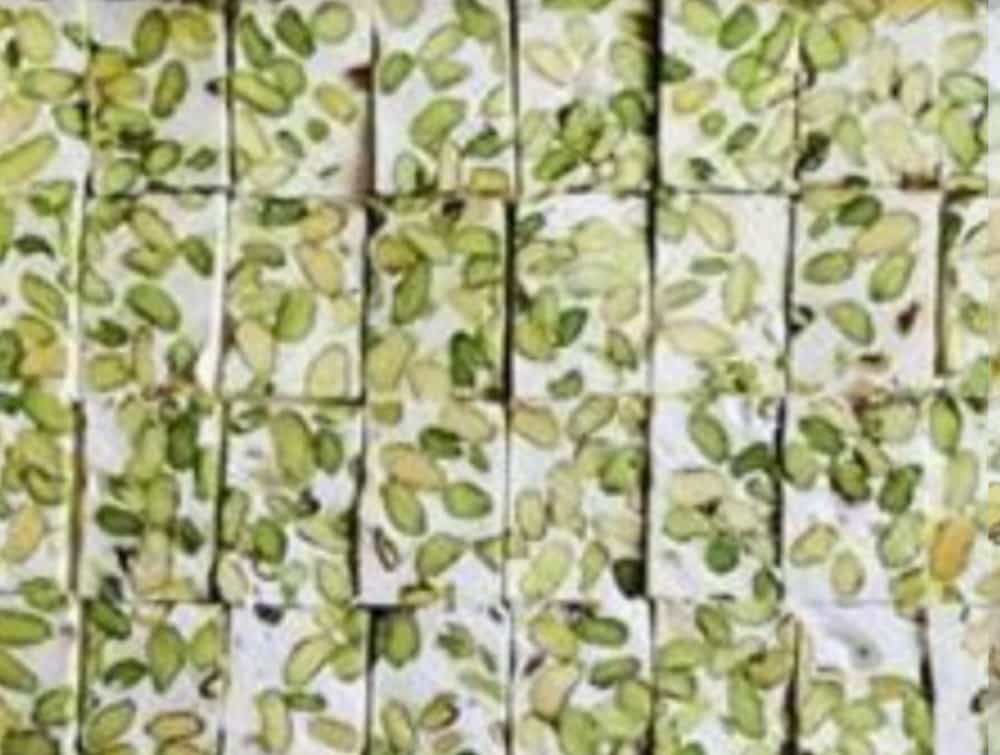 تصویر 3 از خرید و فروش شیرینی نوقا پسته ای با شرایط فوق العاده