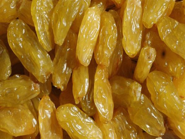 خرید کشمش زرد