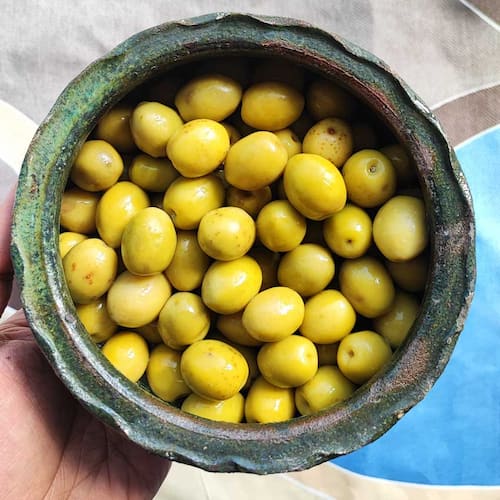 تصویر 2 از زیتون شور با بافت درشت و طعم دلپذیر