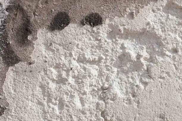 قیمت سیمان سفید