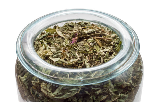 تصویر 4 از نعنا خشک تازه‌ خشک‌ شده با حفظ کامل عطر گیاه