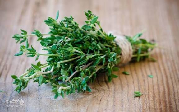 تصویر 5 از آویشن تازه و خوش‌ عطر و طعم مناسب آشپزی خانگی