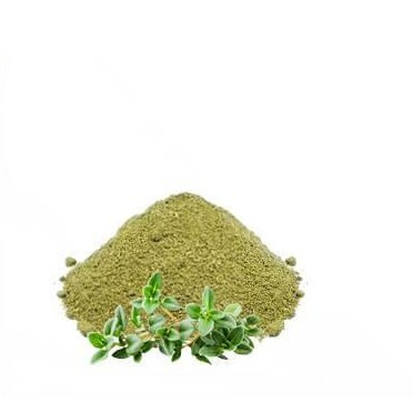 تصویر 4 از آویشن محلی خوش‌ بو و مناسب انواع دم‌ نوش‌ ها