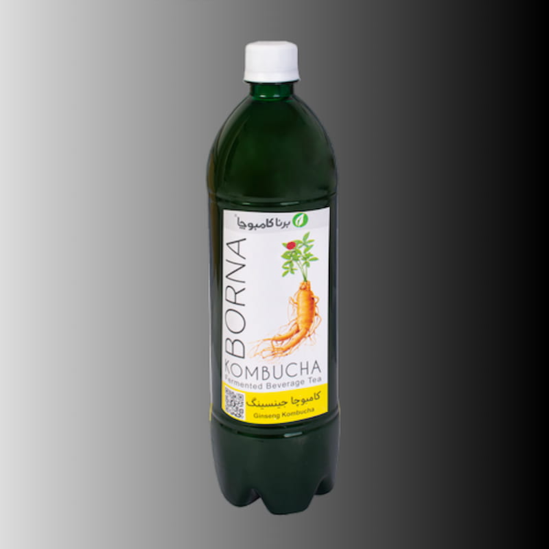 تصویر 2 از شربت کامبوجا با طعم ملایم و خاصیت پروبیوتیکی