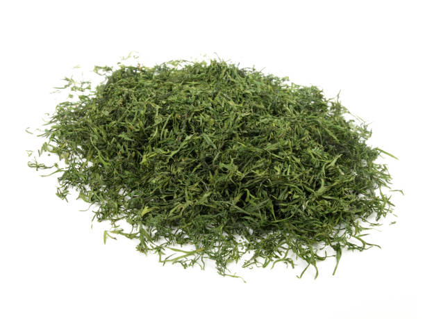 فروش شوید خشک