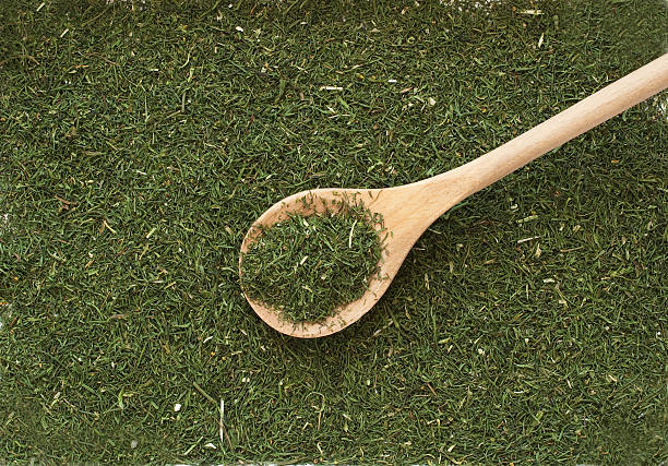 تصویر 4 از سبزی شوید خشک تازه و کاملا طبیعی