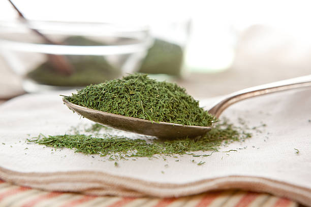 قیمت شوید خشک