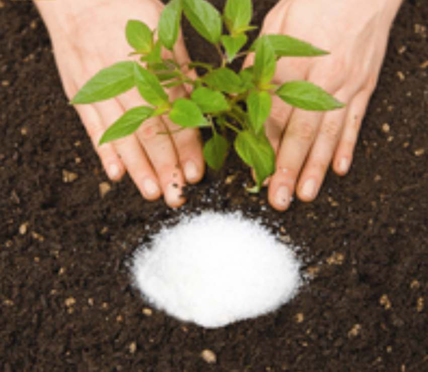 هیدروژل کشاورزی