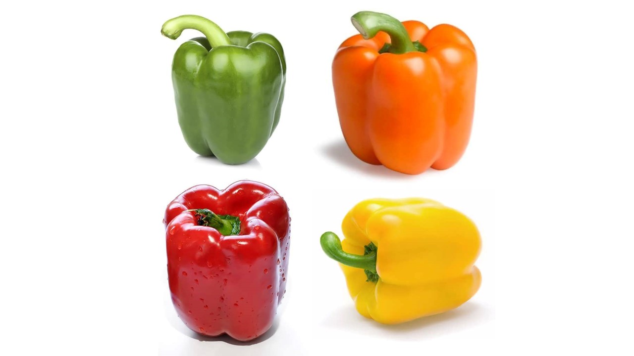 تصویر 5 از خرید و قیمت فلفل دلمه ای تند + فروش عمده