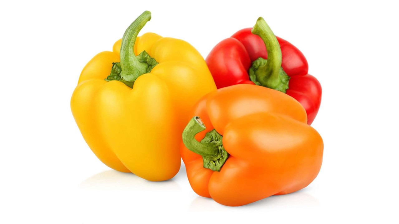 تصویر 4 از قیمت فلفل دلمه زرد + فروش عمده