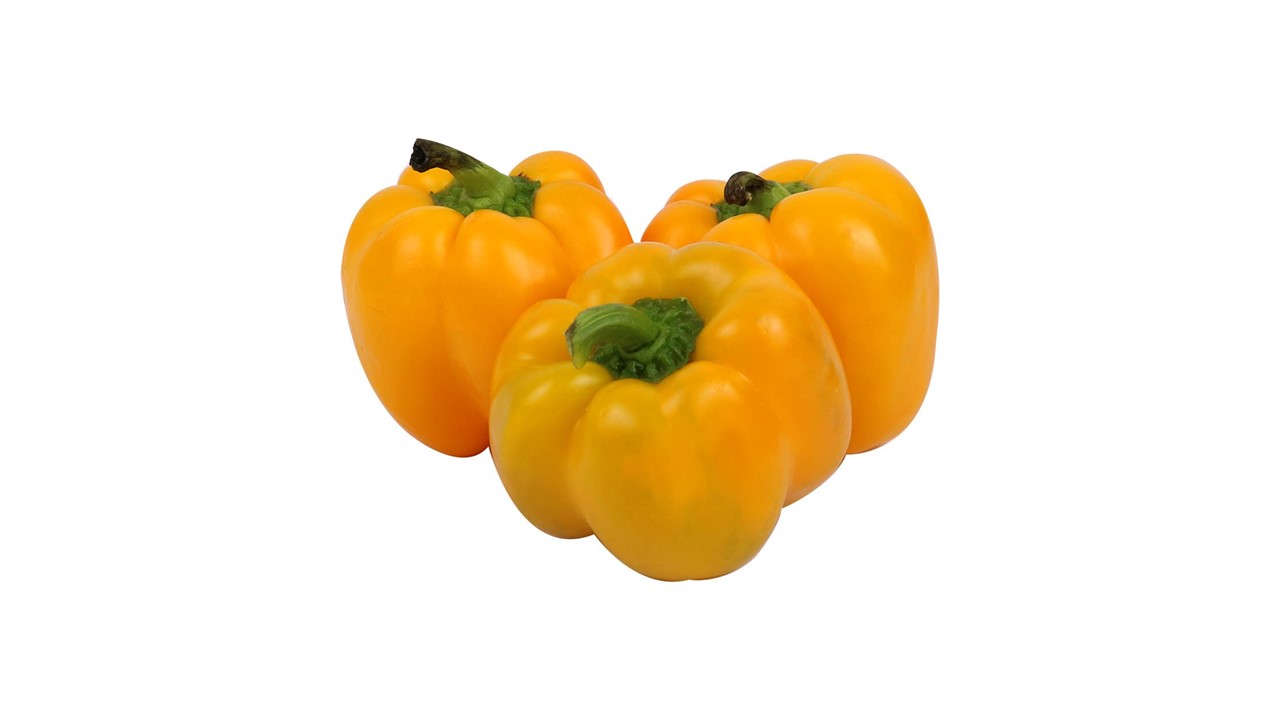 قیمت فلفل دلمه زرد + فروش عمده