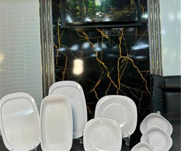 تصویر 3 از دیس چهار گوش سبک با دوام بالا و حمل آسان