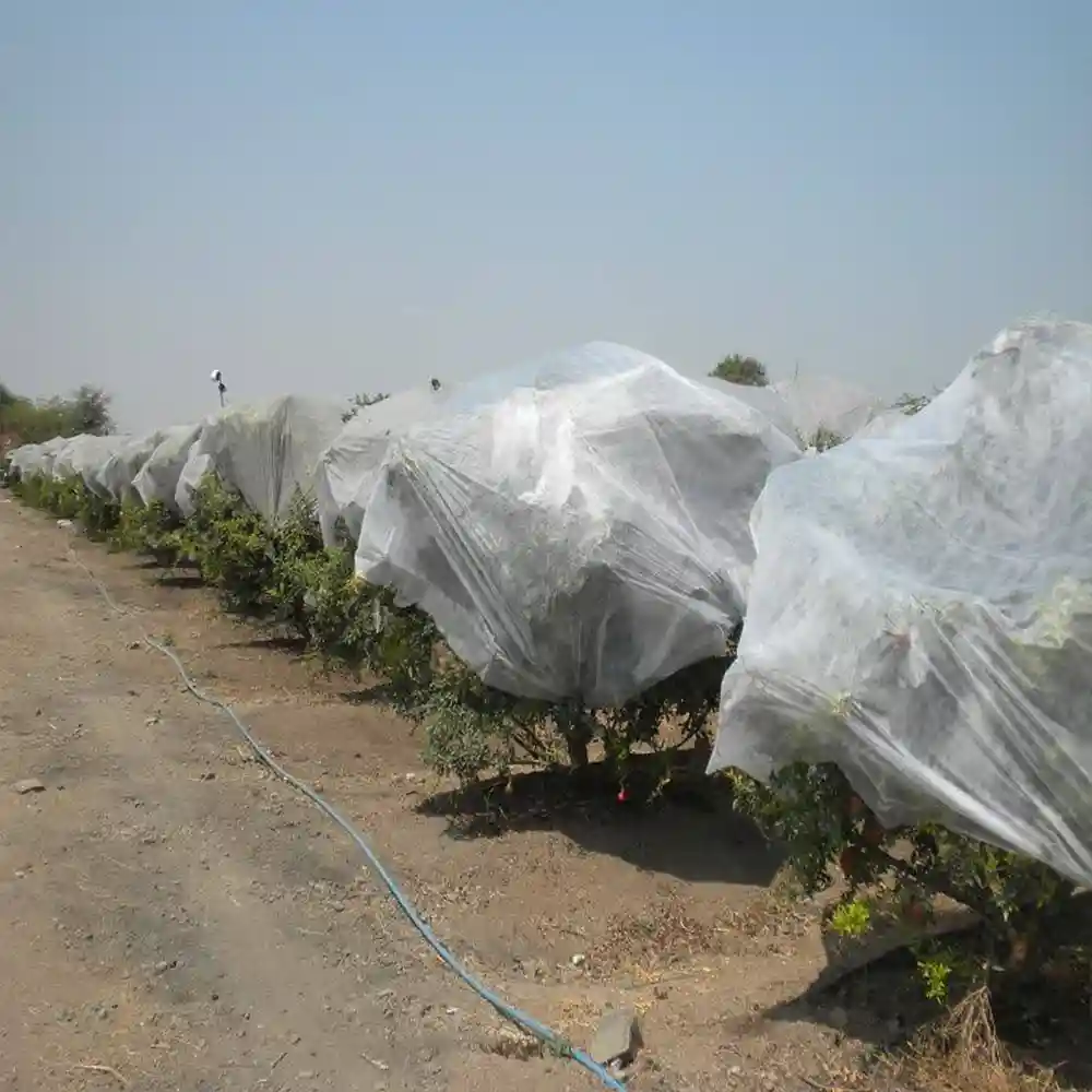 خرید اینترنتی کاور ضد سرما کشاورزی با بهترین قیمت بازار