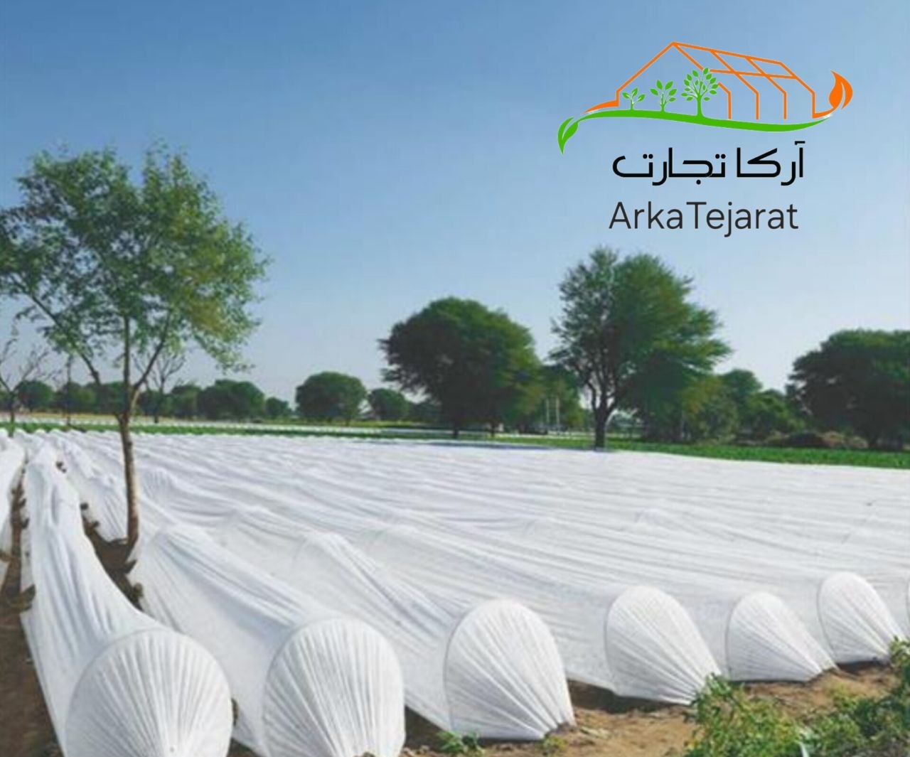 تصویر 1 از خرید اینترنتی کاور ضد سرما کشاورزی با بهترین قیمت بازار