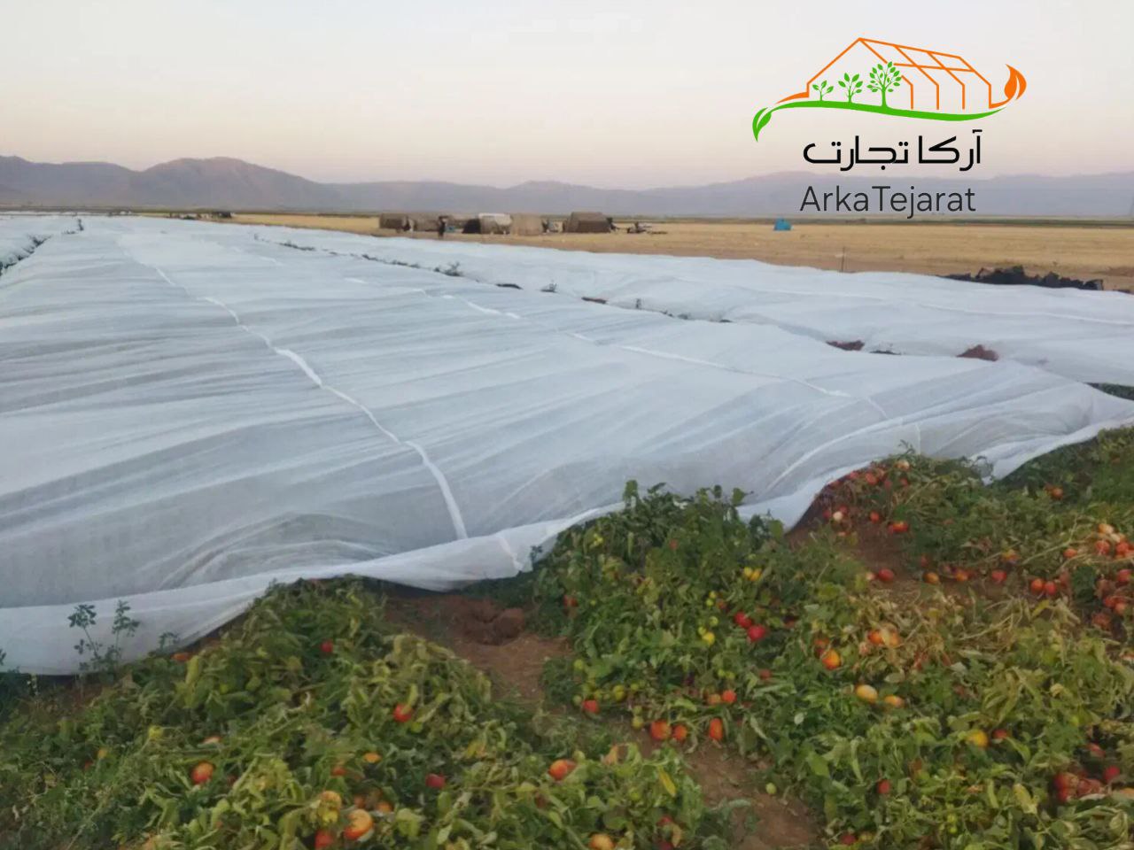 خرید نقدی و عمده کاور ضد سرما گوجه‌فرنگی + قیمت استثنایی