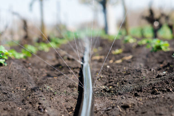 تصویر 2 از خرید و فروش نوار تیپ گلخانه پلاک دار 2000 متری + قیمت عمده و با صرفه