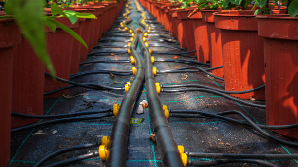 تصویر 5 از خرید و قیمت نوار تیپ قطره چکان دار + فروش صادراتی