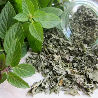 تصویر 4 از نعنا خشک خوش‌ عطر تهیه‌ شده از برگ‌ های تازه با عطر طبیعی