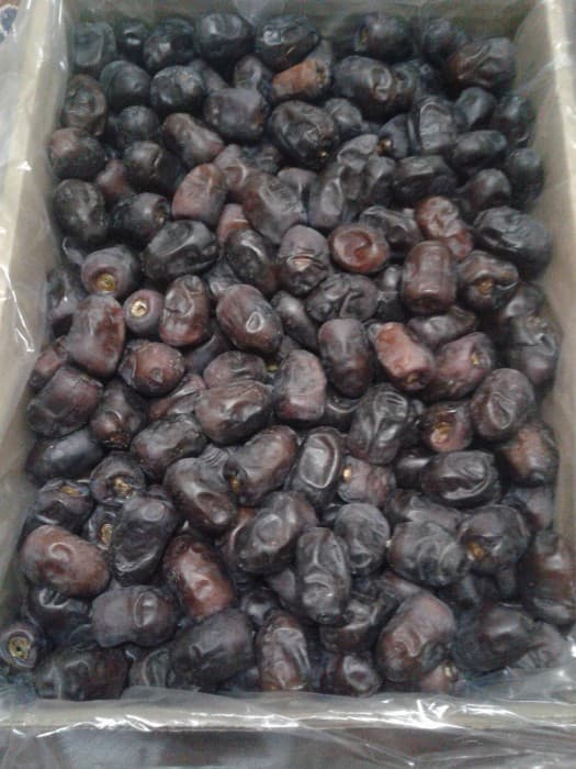 تصویر 1 از خرما مضافتی درجه یک 8 کیلویی تازه