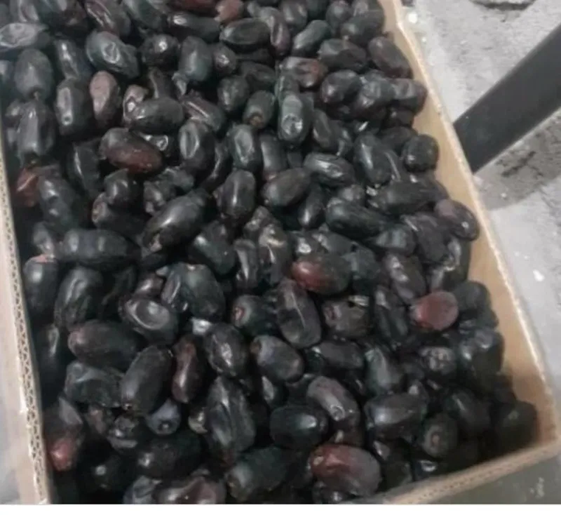 تصویر 4 از خرما رطب مضافتی بم بسته بندی لوکس و تازه