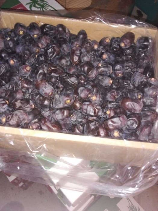 تصویر 2 از خرما رطب مضافتی عالی و ممتاز 7 کیلویی