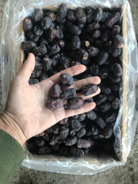 تصویر 1 از خرما رطب مضافتی عالی و ممتاز 7 کیلویی