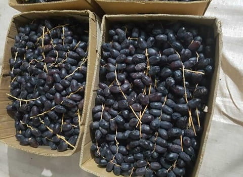 تصویر 5 از خرما مضافتی مجلسی و لوکس 8 کیلویی شیرین