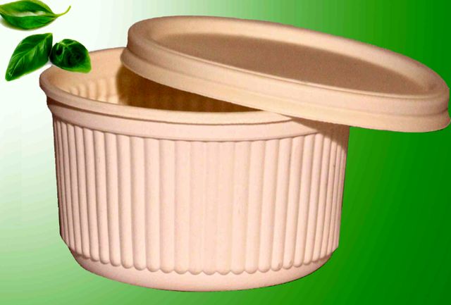 تصویر 5 از خرید و قیمت ظرف یکبار مصرف گیاهی + فروش عمده