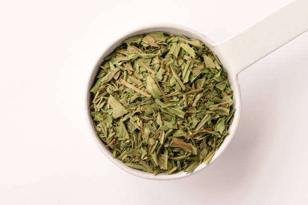 تصویر 1 از ترخون خشک با عطر تند و طعم گیاهی دلنشین