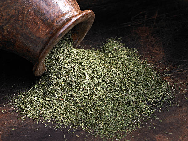 تصویر 3 از ترخون خشک تازه‌ پاک‌ شده با کیفیت ممتاز