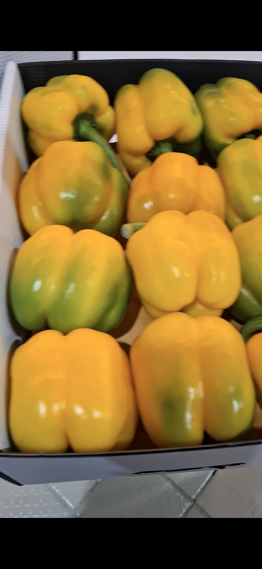 تصویر 2 از فلفل دلمه رنگی با کیفیت تیران و‌ کرون