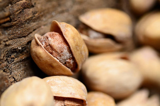 تصویر 2 از پسته اکبری فله با بسته‌ بندی شکیل