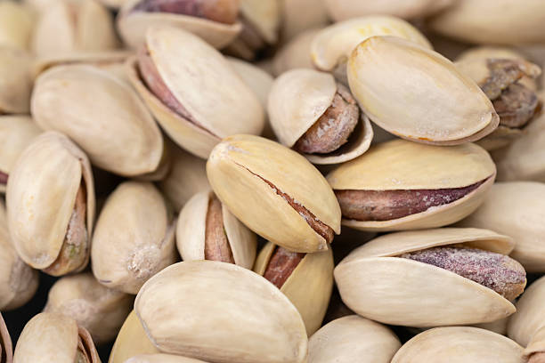 تصویر 2 از بهترین پسته اکبری اعلا با شرایط ویژه