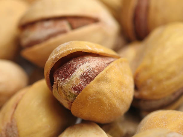 بهترین پسته اکبری اعلا با شرایط ویژه