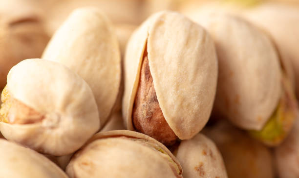 انواع پسته اکبری تازه ممتاز و با کیفیت