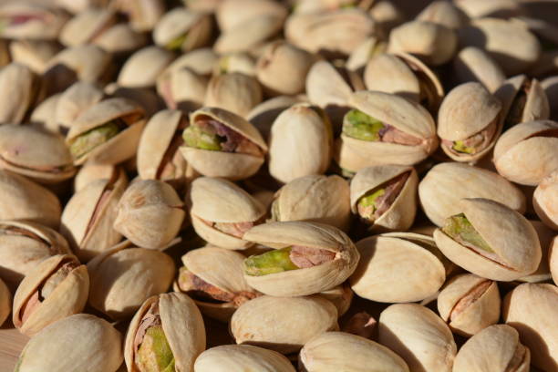 تصویر 1 از عرضه پسته اکبری دامغان در تناژ بالا