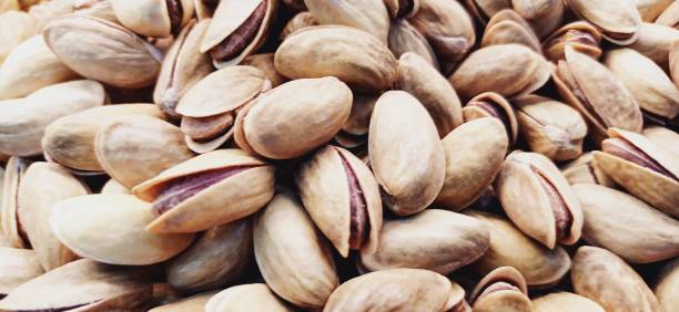 تصویر 3 از عرضه پسته اکبری دامغان در تناژ بالا