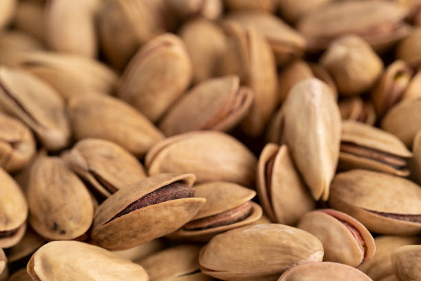 تصویر 1 از انواع پسته اکبری رفسنجان مناسب صادرات