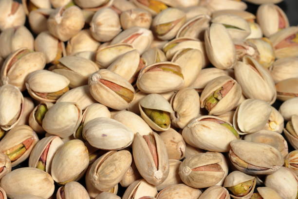 تصویر 2 از انواع پسته اکبری رفسنجان مناسب صادرات