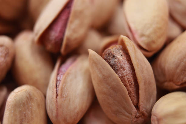 پسته اکبری خندان تازه و بسیار با کیفیت