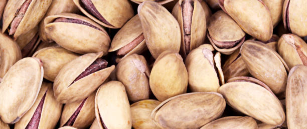 تصویر 3 از پسته اکبری خام دستچین درجه یک و منحصر به فرد