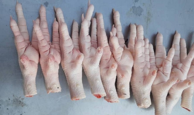 تصویر 3 از خرید پا و پنجه مرغ