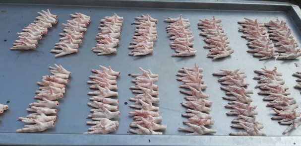 تصویر 1 از خرید پا و پنجه مرغ