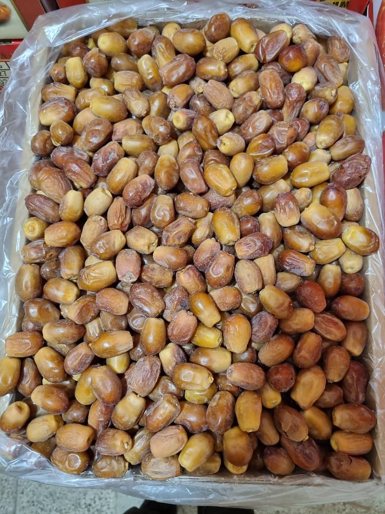 تصویر 4 از خرما پشت کوه زاهدی درجه یک بسته بندی + صادرات به کشور روسیه