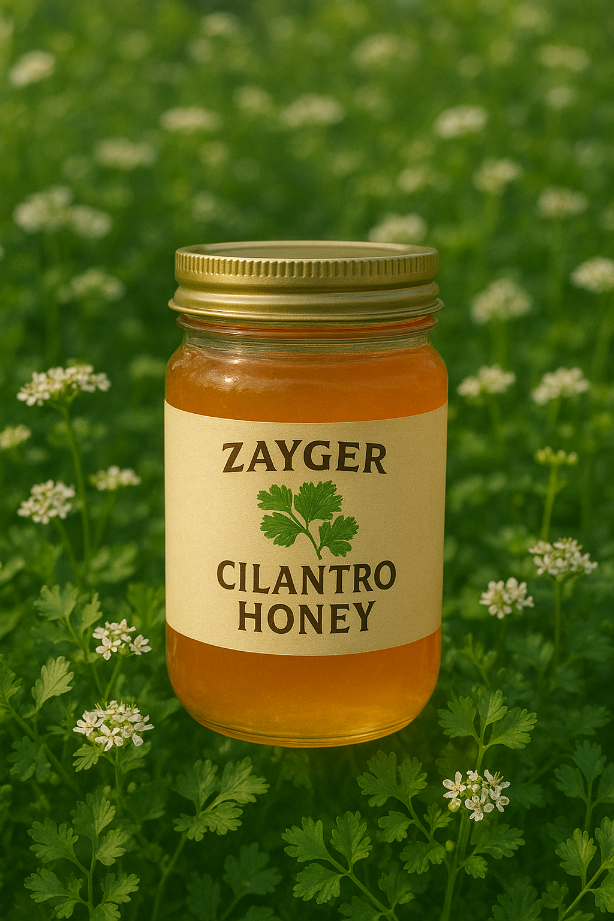 خرید و فروش اقتصادی عسل گشنیز زایگر