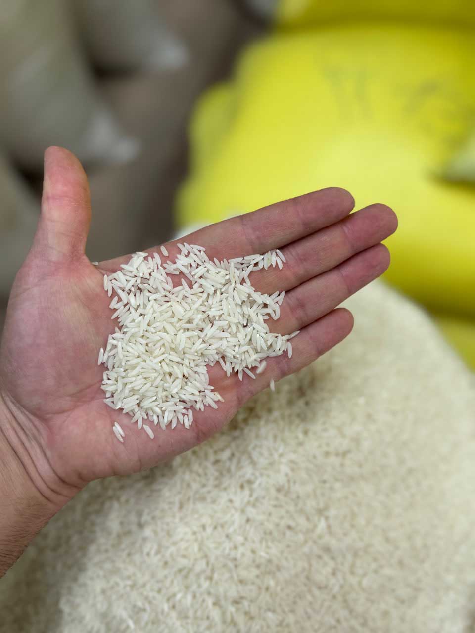 تصویر 4 از برنج فجر گرگان + مناسب انواع غذا های ایرانی