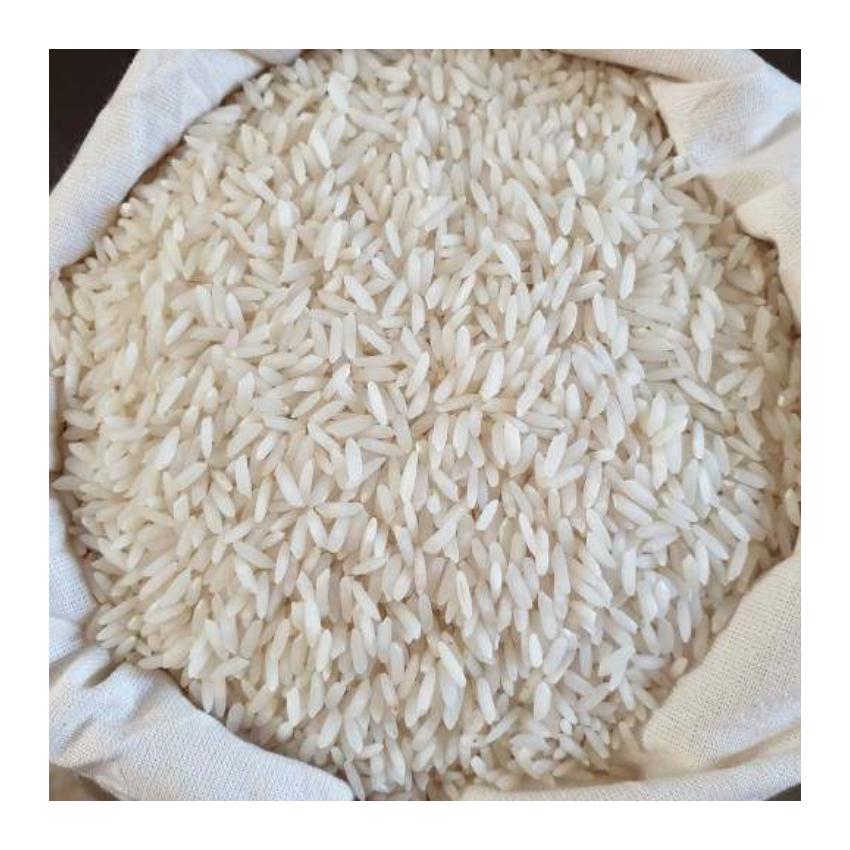 تصویر 1 از پخش مستقیم برنج فجر گرگان با قیمت رقابتی