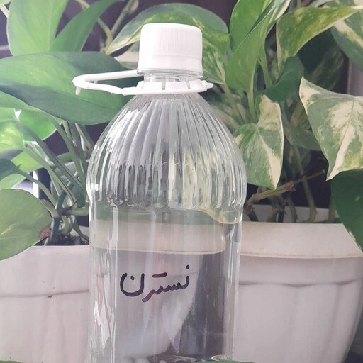 تصویر 2 از قیمت فروش شربت نسترن