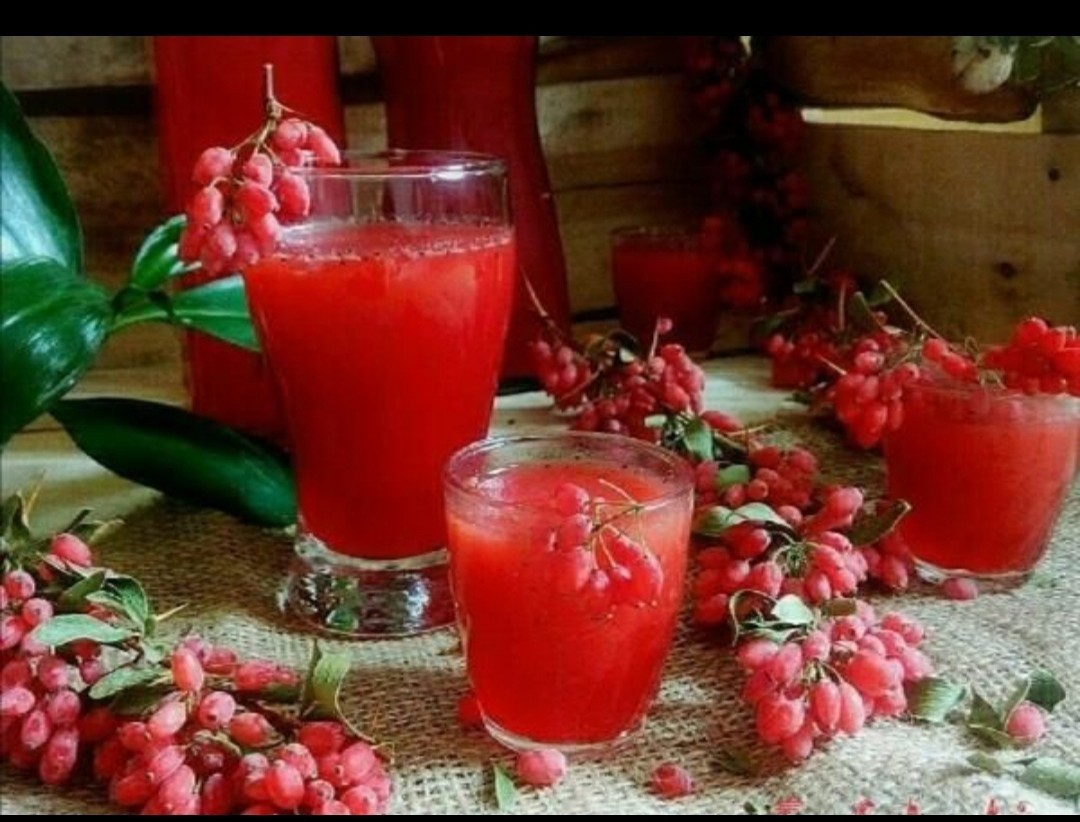 شربت زرشک + قیمت عمده