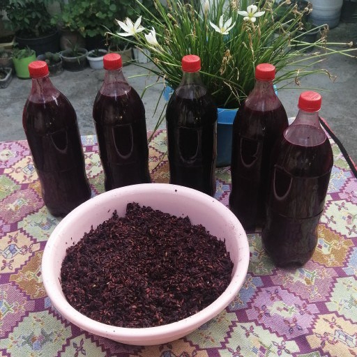 تصویر 5 از شربت زرشک + قیمت عمده